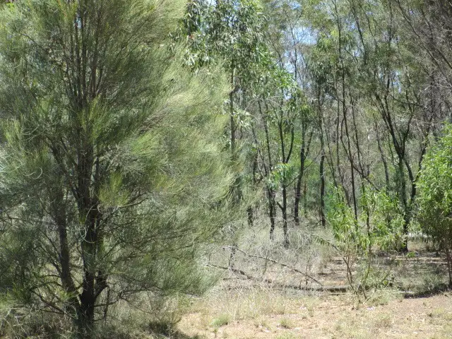 Third view of Homely rural property listing, LOT 64 KYTES ROAD, Tara QLD 4421