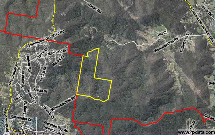 230 Wongawallan Road, Tamborine Mountain QLD 4272