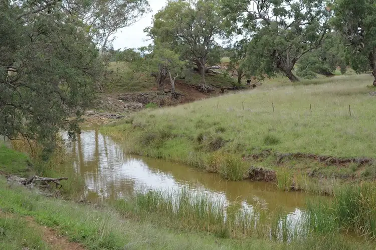 Fourth view of Homely rural property listing, 62 Purlewaugh Rd, Premer NSW 2381