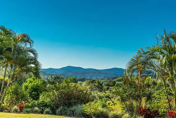 Main view of Homely house listing, 67 Barrys Road, Modanville NSW 2480