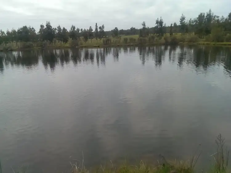 Second view of Homely rural property listing, 216 Sabina Road, Tutunup WA 6280