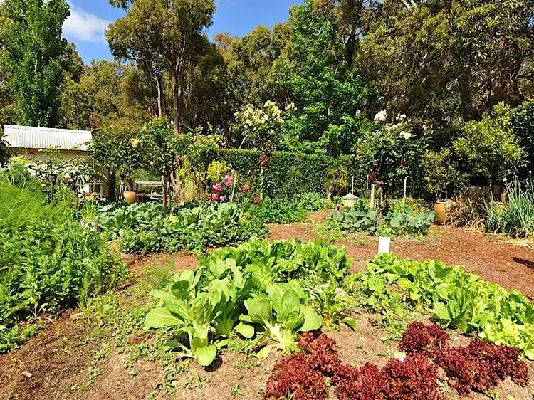 Sixth view of Homely house listing, 99 Moffett Road, Carmel WA 6076