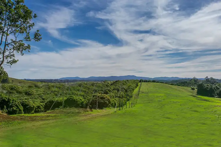 Fifth view of Homely rural property listing, 98 Rishworth Lane, Brooklet NSW 2479