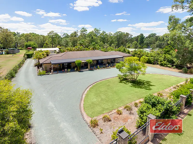 Main view of Homely house listing, 14 Sugar Gum Court, Jimboomba QLD 4280