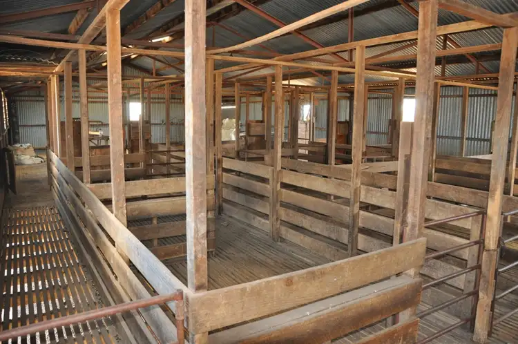 Sixth view of Homely rural property listing, 770 Reillys Pit Rd, Wunghnu VIC 3635