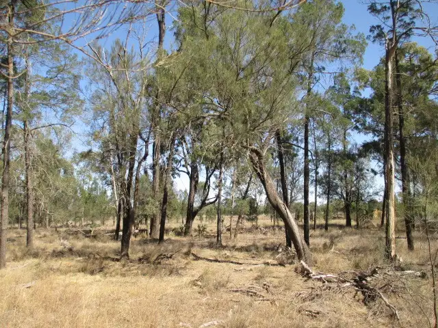 Lot 4 Weranga North Road, Tara QLD 4421