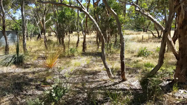 Fourth view of Homely rural property listing, 295 Gould Road, Currency Creek SA 5214
