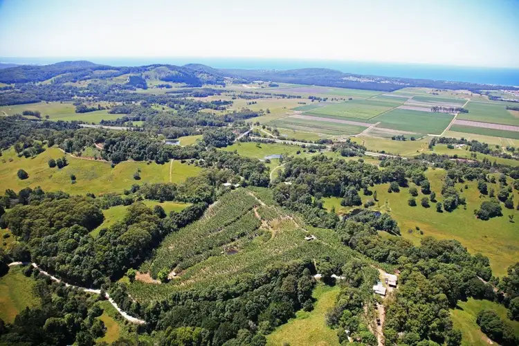 Third view of Homely rural property listing, 1727 Reserve Creek Road, Cudgera Creek NSW 2484