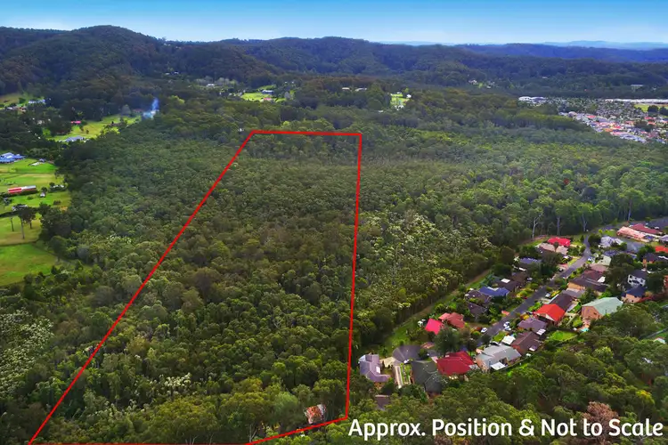 Seventh view of Homely house listing, 91 Tumbi Road, Tumbi Umbi NSW 2261