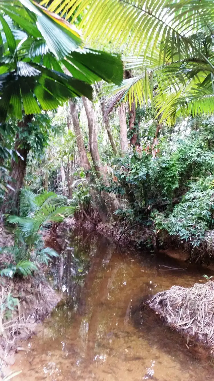 Seventh view of Homely rural property listing, 79 (225R) Forest Creek Road, Daintree QLD 4873