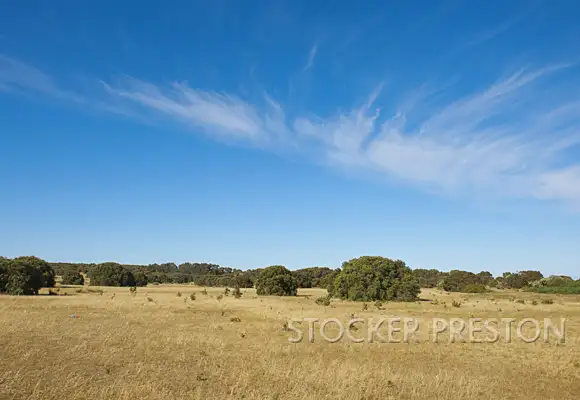 Fifth view of Homely land listing, Lot 101 Swishbush Grove, Wilyabrup WA 6280