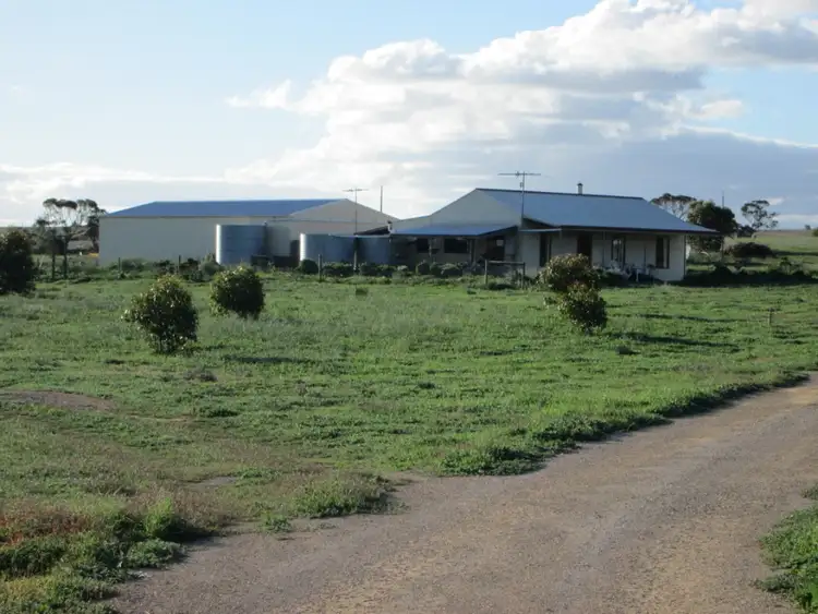 Main view of Homely rural property listing, 84 Heinicke Road, Murray Bridge SA 5253