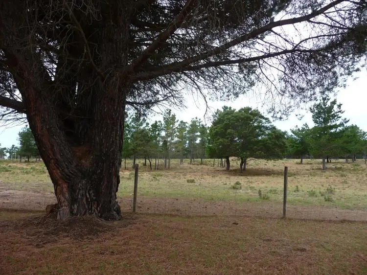 Main view of Homely land listing, 7 Savage Hill Road, Corindhap VIC 3352