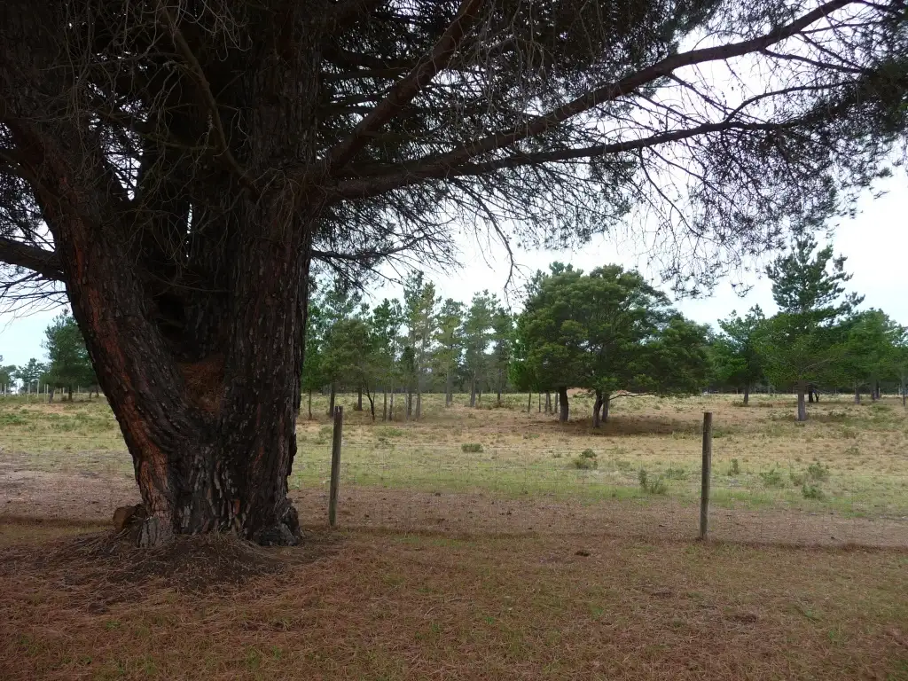 Main view of Homely land listing, 7 Savage Hill Road, Corindhap VIC 3352