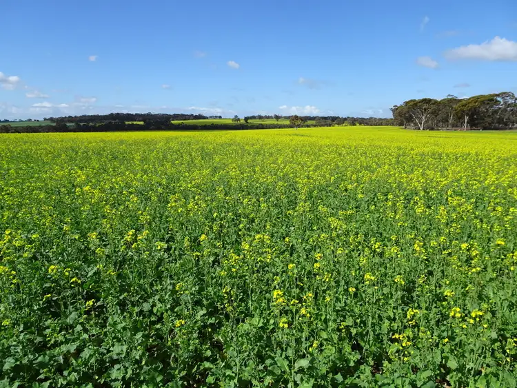 Fifth view of Homely rural property listing, "Koobadong West", Noble Rd, Wagin WA 6315