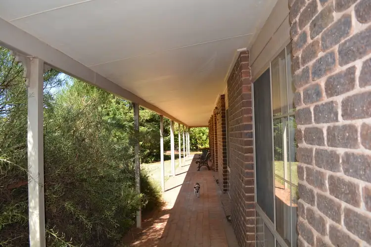 Main view of Homely rural property listing, 249 Seventh Street, Merbein South VIC 3505