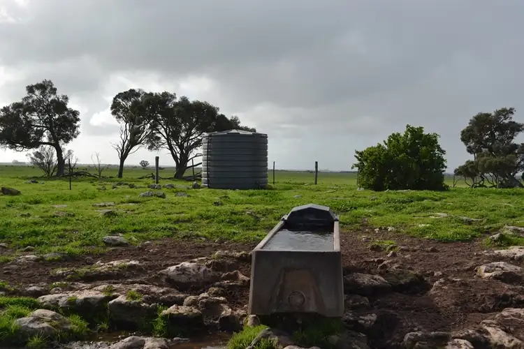 Sixth view of Homely rural property listing, 235 "Box Hill" Jabe Williams Road, Lucindale SA 5272