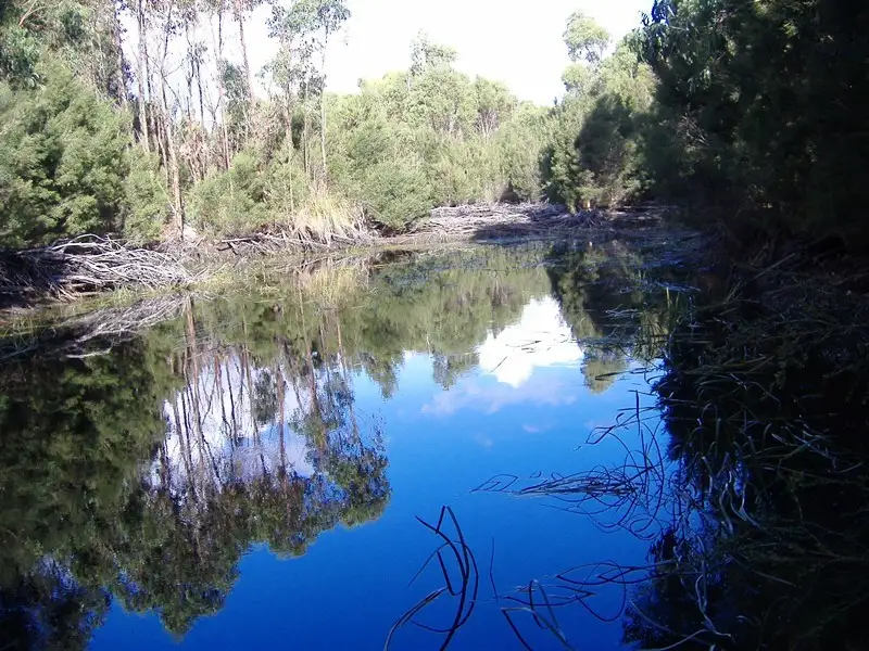 Main view of Homely land listing, 368 Memana Road, Whitemark, Flinders Island TAS 7255