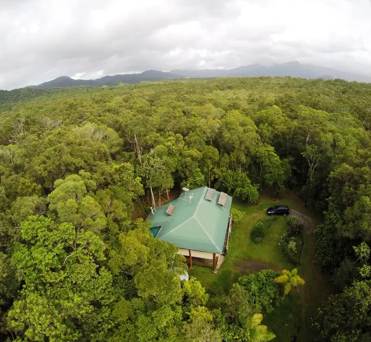 Second view of Homely house listing, 21 White Beech Road, Daintree QLD 4873