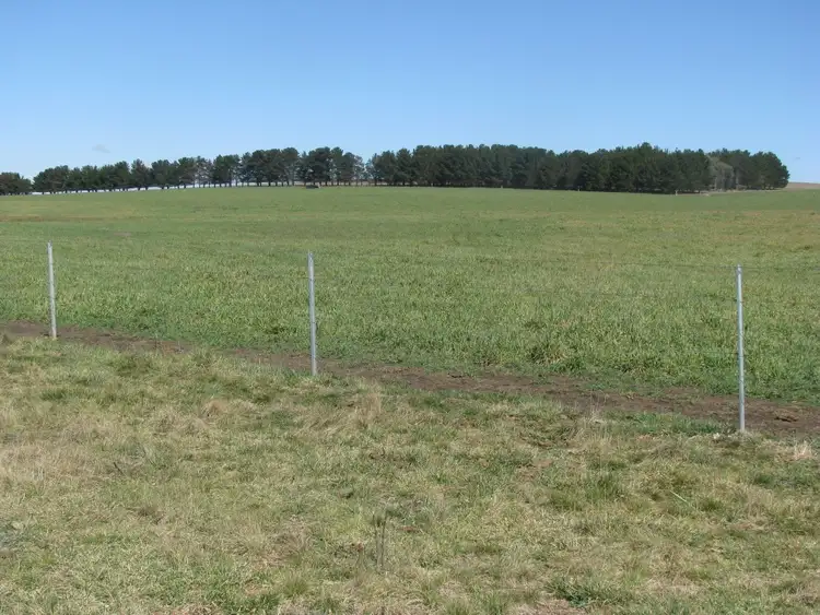 Sixth view of Homely rural property listing, 380 Elliots road, Armidale NSW 2350