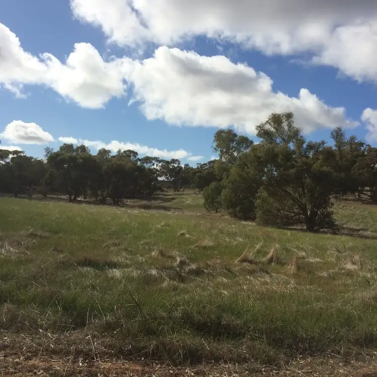 Lot 5 Moorumbine Road, East Pingelly WA 6308