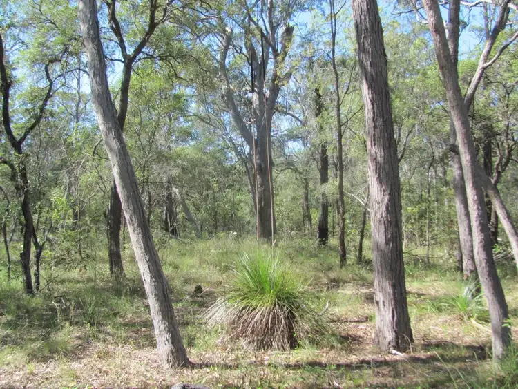 Seventh view of Homely rural property listing, Lot 44 Matchbox Road, Deepwater QLD 4674