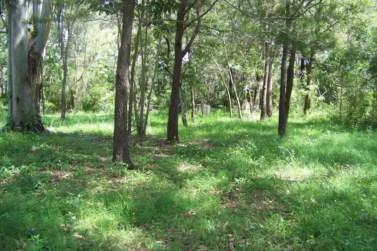 Fourth view of Homely land listing, 80 PERULPA DR, Lamb Island QLD 4184