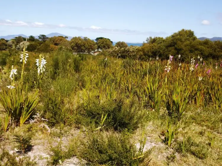 Fifth view of Homely land listing, 5 Barr Street, Lady Barron, Flinders Island TAS 7255