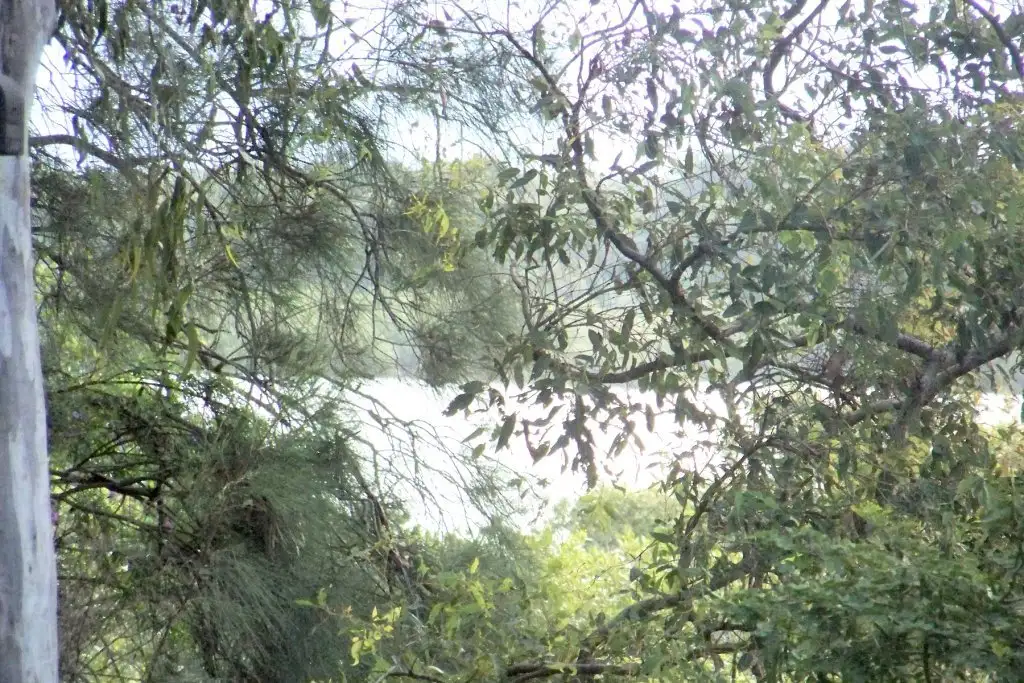 Main view of Homely land listing, 27 GOODSELL CRES, Lamb Island QLD 4184