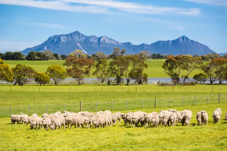 Main view of Homely rural property listing, 1492 Bundoran Lane, Glenthompson VIC 3293