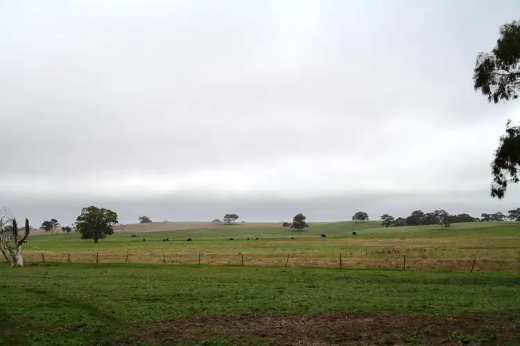 Fifth view of Homely rural property listing, 2097 Lucindale Road, Naracoorte SA 5271