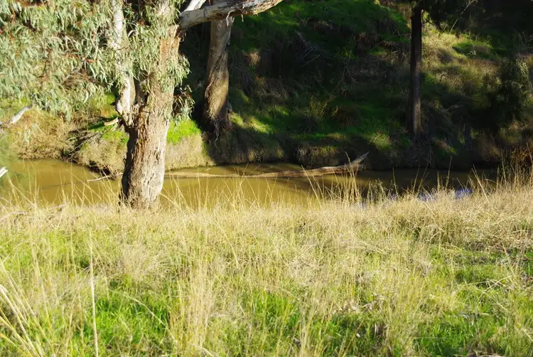 Fifth view of Homely rural property listing, 5L Gilgandra Road, Brocklehurst NSW 2830
