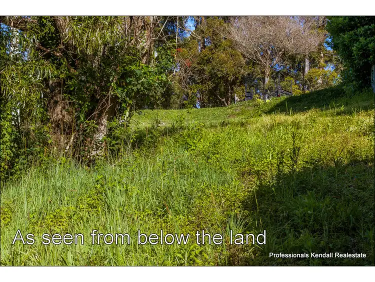 Sixth view of Homely land listing, 123 Guanaba Rd, Tamborine Mountain QLD 4272