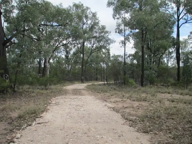 Seventh view of Homely rural property listing, 100 RIDGE ROAD, Tara QLD 4421