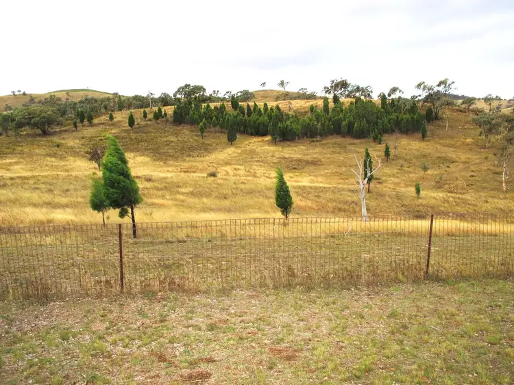 Fourth view of Homely rural property listing, 306 Windeyer Road, Mudgee NSW 2850