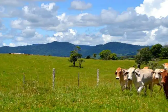 Sixth view of Homely rural property listing, Address available on request