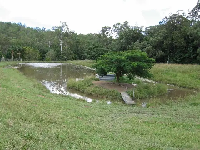 Third view of Homely house listing, 910 Euluma Creek Road, Julatten QLD 4871