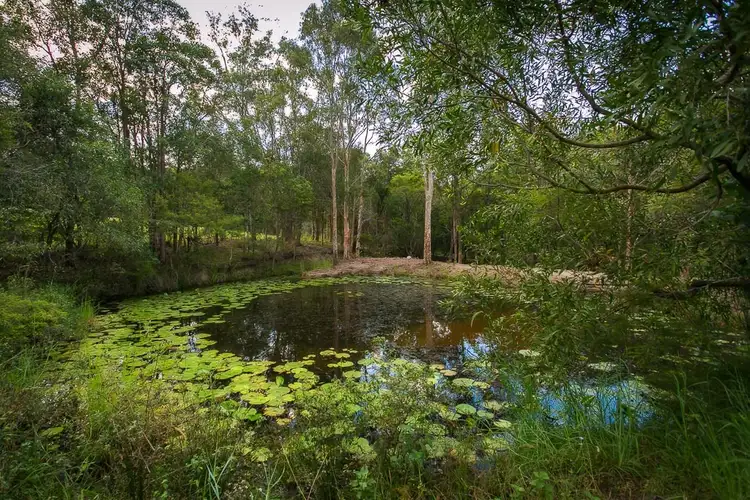 Fifth view of Homely rural property listing, 55 JULIE WAY, Mudgeeraba QLD 4213