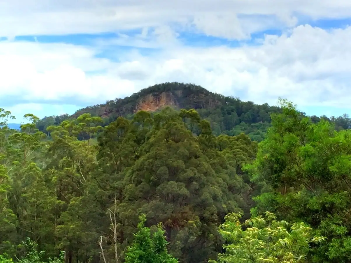 Main view of Homely land listing, 4/818 Blue Knob Road, Nimbin NSW 2480