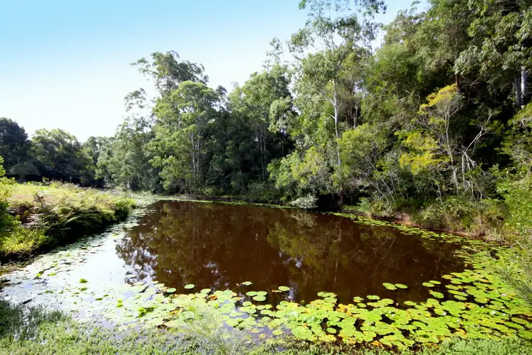 Fourth view of Homely land listing, 14 Misty Way, Logans Crossing NSW 2439