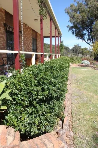 Fifth view of Homely house listing, "Sunny Brae" Cooka Hills Road, Parkes NSW 2870