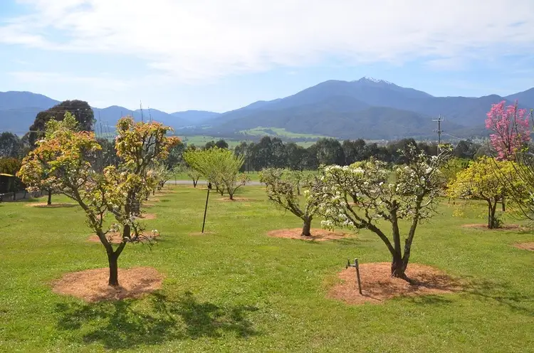 Fifth view of Homely land listing, 79 Kiewa Valley Highway, Tawonga South VIC 3698