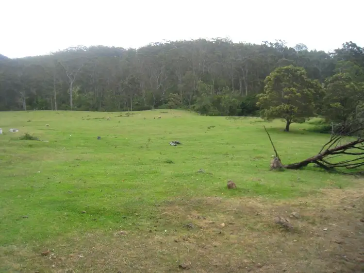 - "Bellbird Springs" Tantawangalo Lane, Tantawangalo NSW 2550