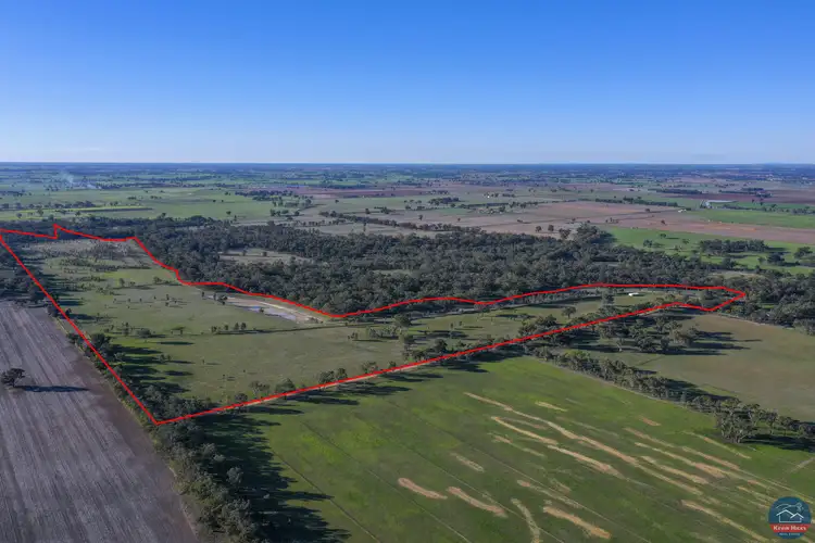 Main view of Homely rural property listing, 1096 Walshs Bridge South Road, Mundoona VIC 3635