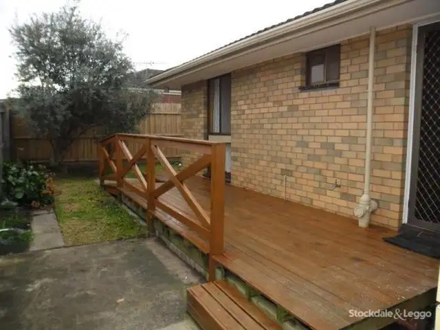 Fifth view of Homely house listing, 17 Shackleton Street, Belmont VIC 3216