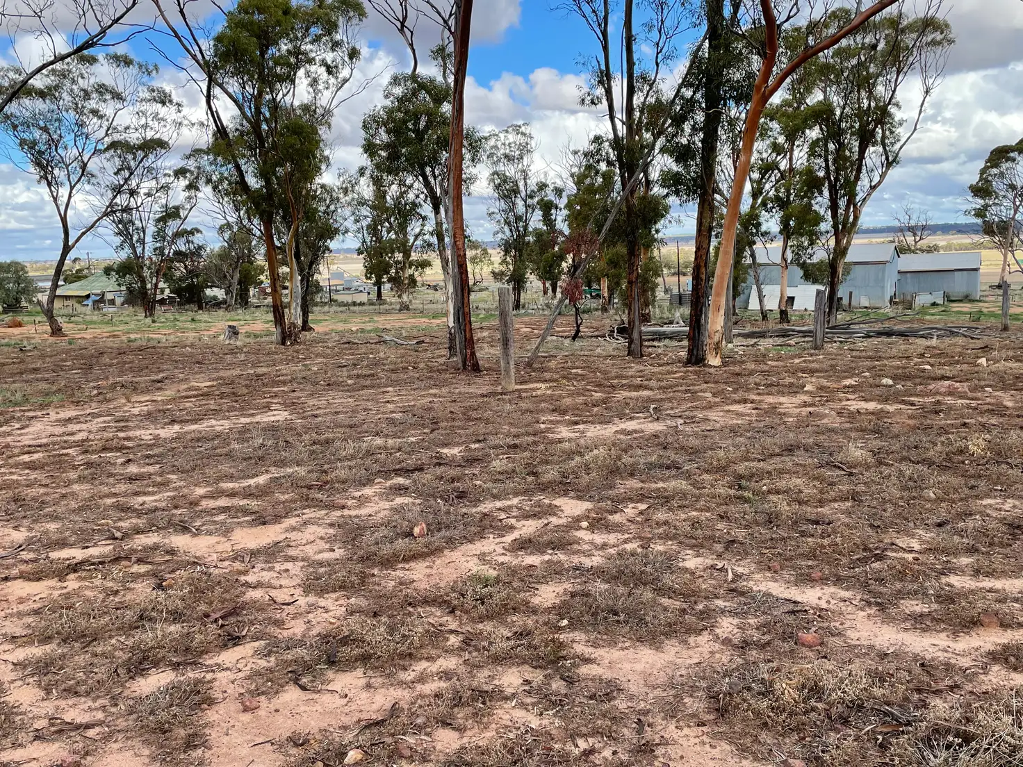 Main view of Homely rural property listing, 81 Nambling North Rd, Dowerin WA 6461