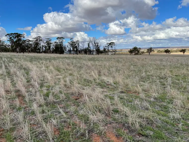 Second view of Homely rural property listing, 81 Nambling North Rd, Dowerin WA 6461