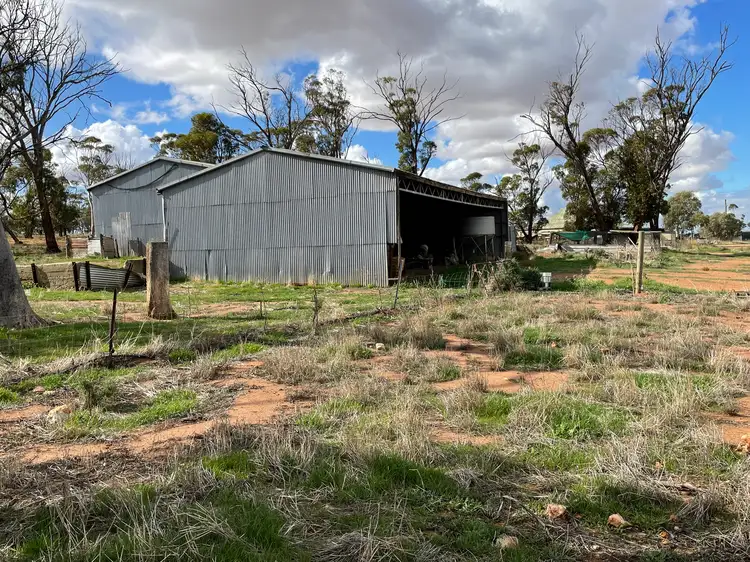 Fourth view of Homely rural property listing, 81 Nambling North Rd, Dowerin WA 6461