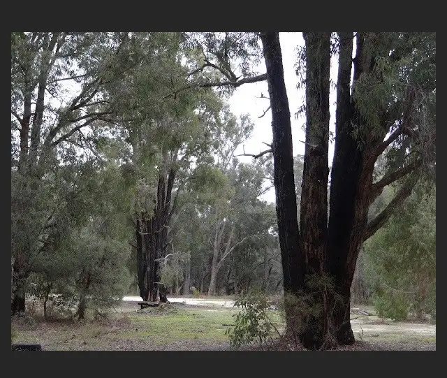 Fourth view of Homely land listing, LOT 997 Chadoora Road, Inglehope WA 6213