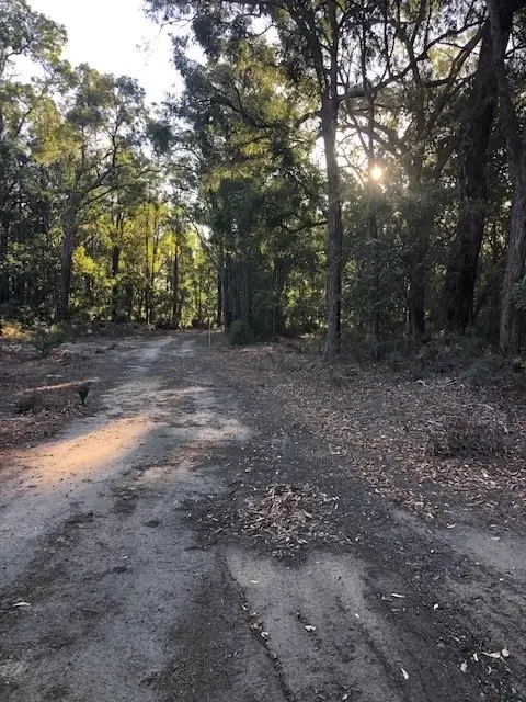Second view of Homely land listing, LOT 999 Chadoora Road, Inglehope WA 6213